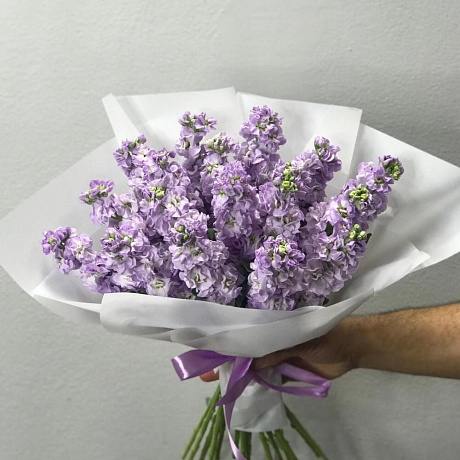 Маттиола голубая - Фото 2