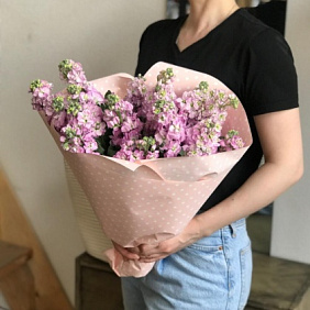 Розовая маттиола