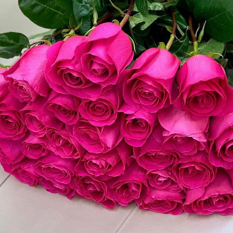 Роза Эквадор пинкфлойд - Фото 3