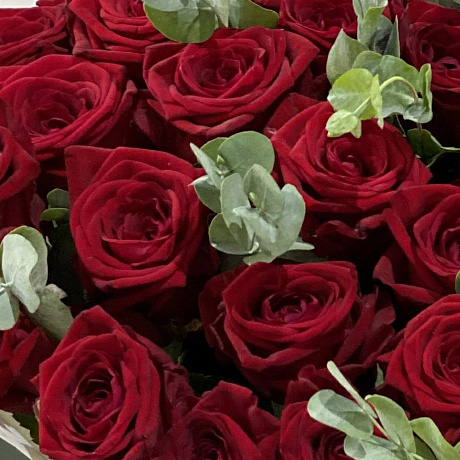 25 красных роз с зеленью - Фото 3