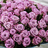 101 фиолетовая роза - Фото 6
