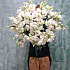 Букет цветов Белоснежность - Фото 5