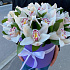Композиции из орхидей - Фото 2