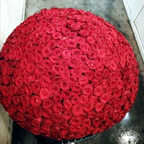 701 красная роза в корзине