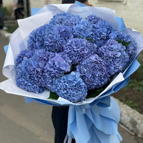 Огромный букет из 17 гортензий  - Фото 2