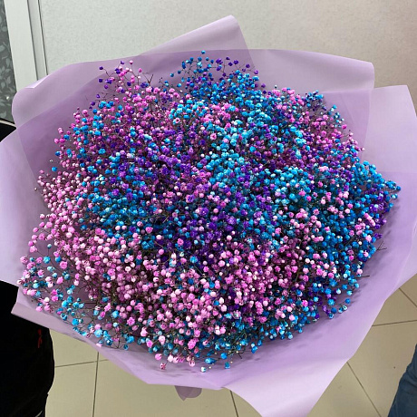 Гифсофила из трёх сортов - Фото 3