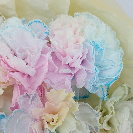 Акварельные диантусы (M) - Фото 5