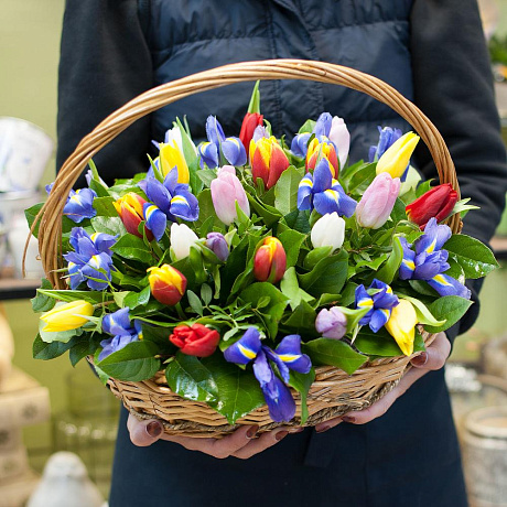 Корзина из разноцветных тюльпанов и ирисов За пол часа до весны - Фото 2