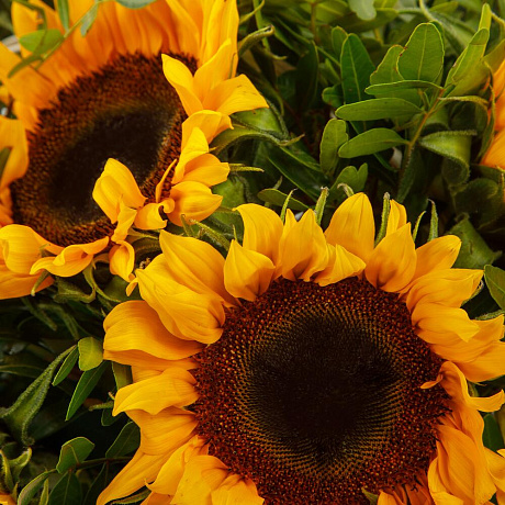 Цветы в корзине Солнечное лето - Фото 3