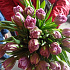 Тюльпаны пионовидные 25шт - Фото 2