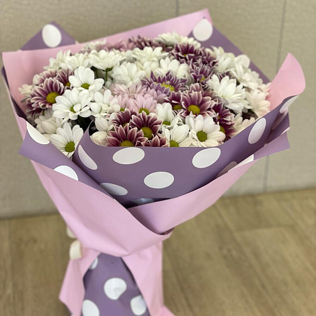 Букет из 25 кустовых хризантем - Фото 3