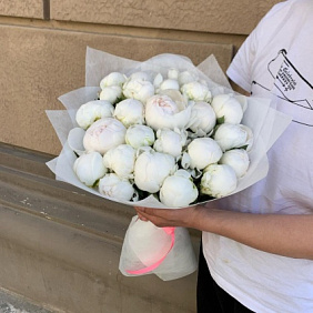 Букет из 25 пионов №162