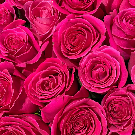 Букет PINK FLOYD из эквадорской розы - Фото 4