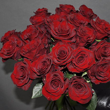 Шикарная 21 роза (60-70 см) эксплорер - Фото 2