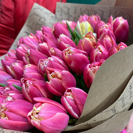 Тюльпаны пионавидные - Фото 4