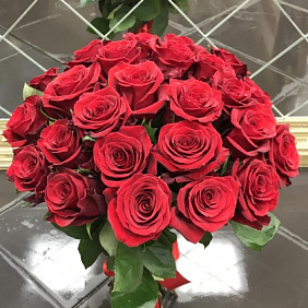 Роза Эквадор №160