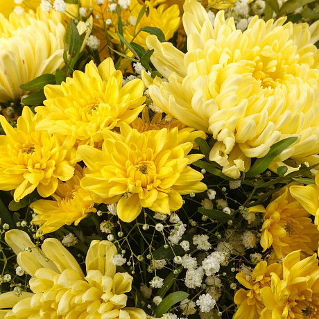 Букет Желтый бархат (миди) - Фото 2