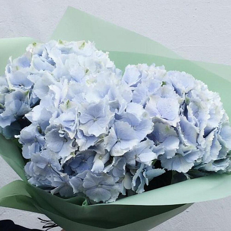 Букет Гортензия Голландия - Фото 2