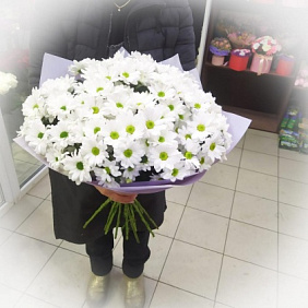 Букет цветов "Ромашка" №167