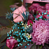 Букет цветов Бабье лето - Фото 4