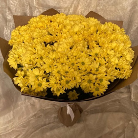 31 желтая хризантема