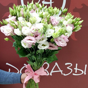 Эустома алиса микс