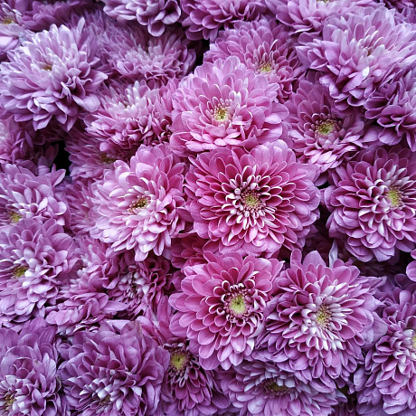 Букет цветов Ради твоей улыбки - Фото 4