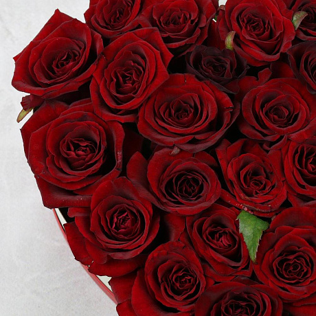 25 красных роз в сердце - Фото 2