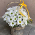 Корзинка цветов ромашка - Фото 3