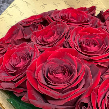 15 алых роз в крафте - Фото 5