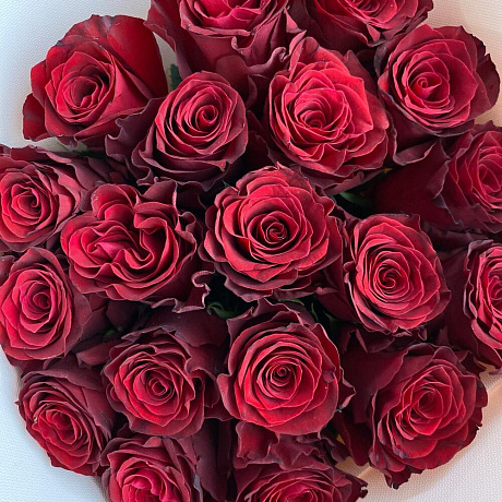Букет из 19 Эквадорских роз - Фото 4