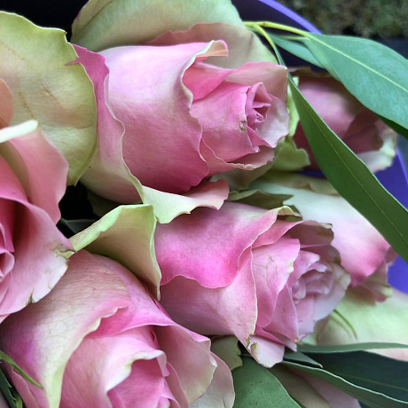 Букет из Роз 15 роз - Фото 5