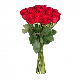 15 красных роз Премиум Эквадор 80 см.
