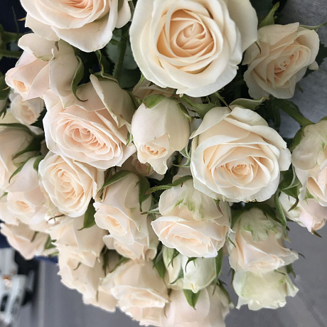 Кустовая роза 50 см.11 шт. N176 - Фото 6