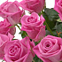 Корзина с цветами из 71 розы - Фото 2