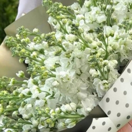 Букет из белых маттиол - Фото 2