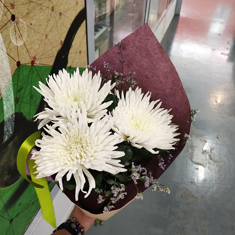 Хризантемы в зелени - Фото 2