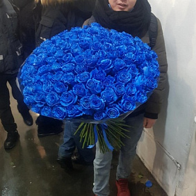 Эквадорская синияя роза