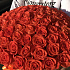 Коробка XXL из 101 оранжевой розы. N246 - Фото 4