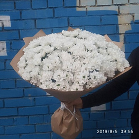 Букет из 49 белой хризантемы