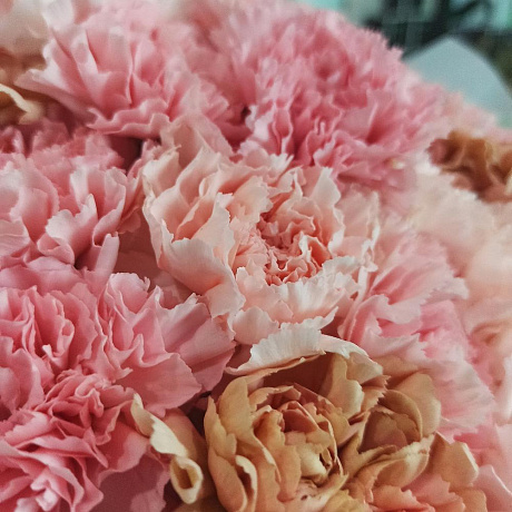 Букет Мамуле - Фото 6