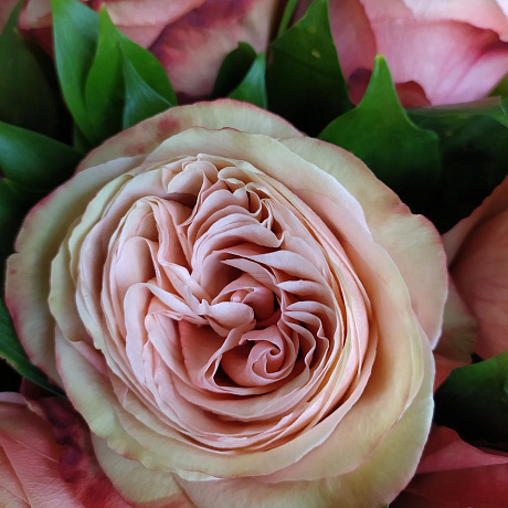 Букет цветов Кахала №162 - Фото 6