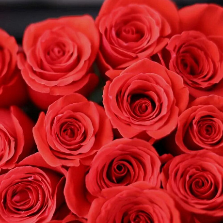 Букет 21 Роза Нина - Фото 4