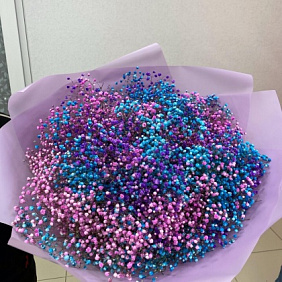 Гифсофила из трёх сортов