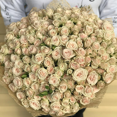 Букет из кремовых кустовых роз (51 шт). N629 - Фото 5