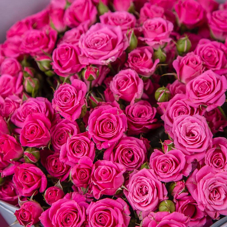 Букет из 19 малиновых кустовых роз - Фото 3
