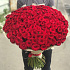 Красная роза. 70 см . 151 шт.  Монобукет.  N162 - Фото 3