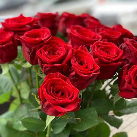 Моно букет из красных роз  - Фото 5