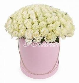51 Белая роза в большой розовой шляпной коробке №114