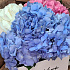 Шкатулка с цветами Волшебное трио - Фото 2